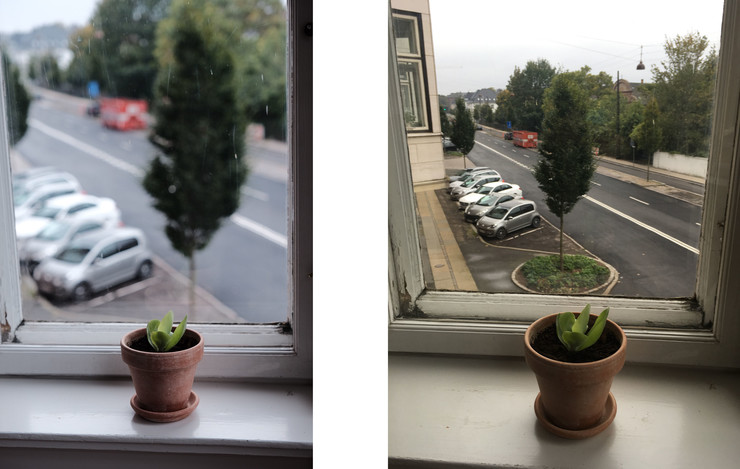 Billedet t.v. er taget med et kamera, hvor man ved hjælp af blænden kan skabe lav dybdeskarphed – urtepotten er i fokus, baggrunden er uskarp. Billedet t.h. er taget med en iPhone – bilerne og den røde container er lige så skarpe som urtepotten (nogle nyere smartphone-modeller har dog en effekt, der efterligner kameraet lave dybdeskarphed).  (Fuji X-T1 og iPhone SE).