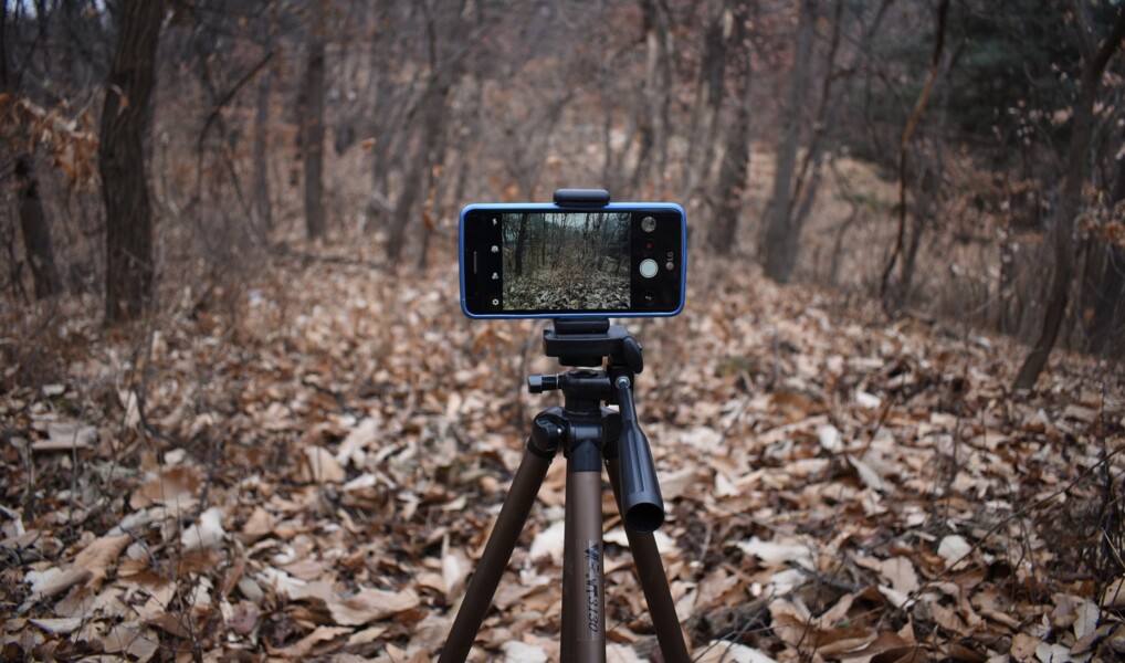 Mobil på stativ i skov