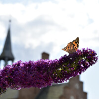 20190802 Fasterholt Kirke (2)