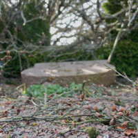 20260408 Sjørslev - 8.jpeg