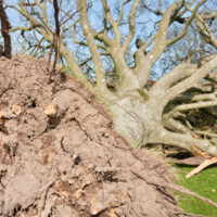 20260408 Sjørslev - 4.jpeg