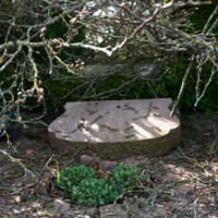 20260408 Sjørslev - 7.jpeg