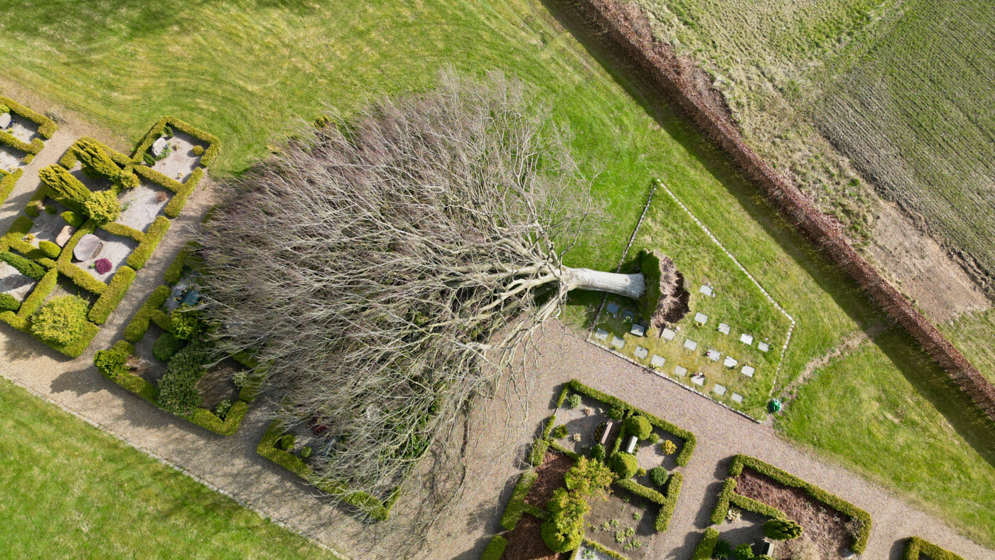 20260408 Sjørslev - 1.jpeg