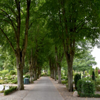 20220905 Vestre Kirkegård i Herning (11)