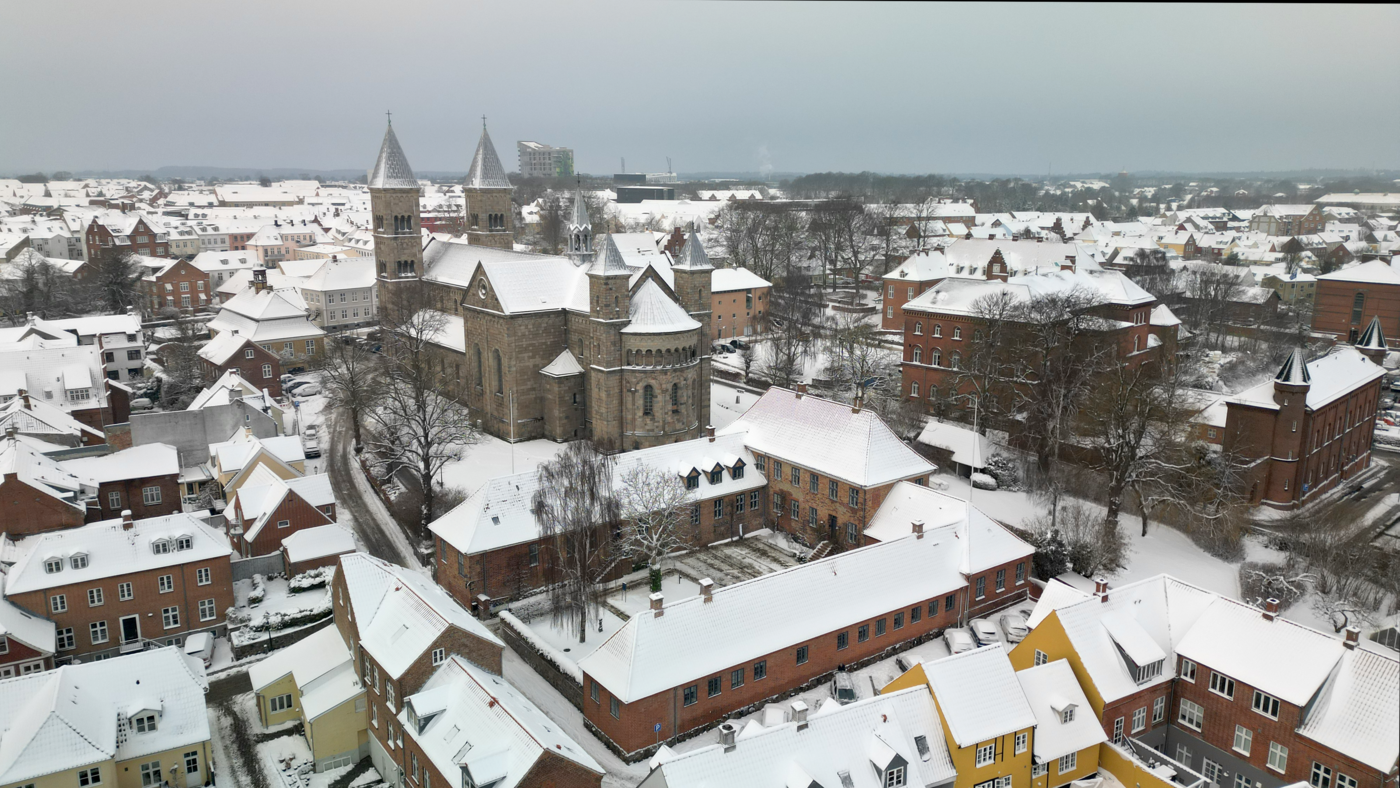 20250108 ViborgDomkirke_Bispegaard.png