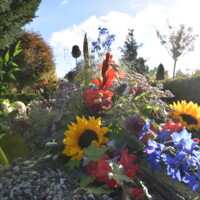 20231016_Blomster på et gravsted 3