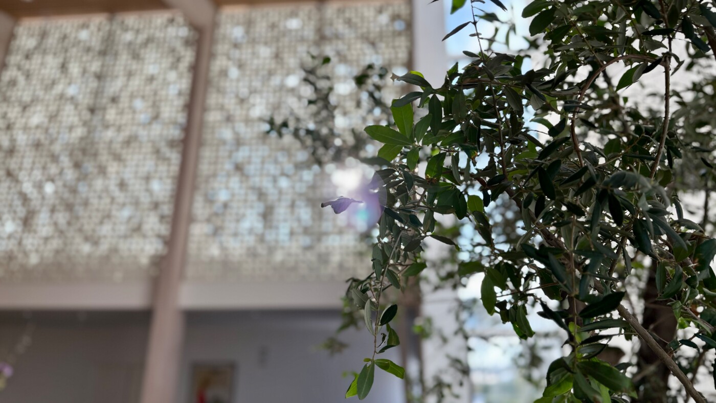 20260219_05 Egeris kirke foto Henrik Helms Viborg Stift.jpeg