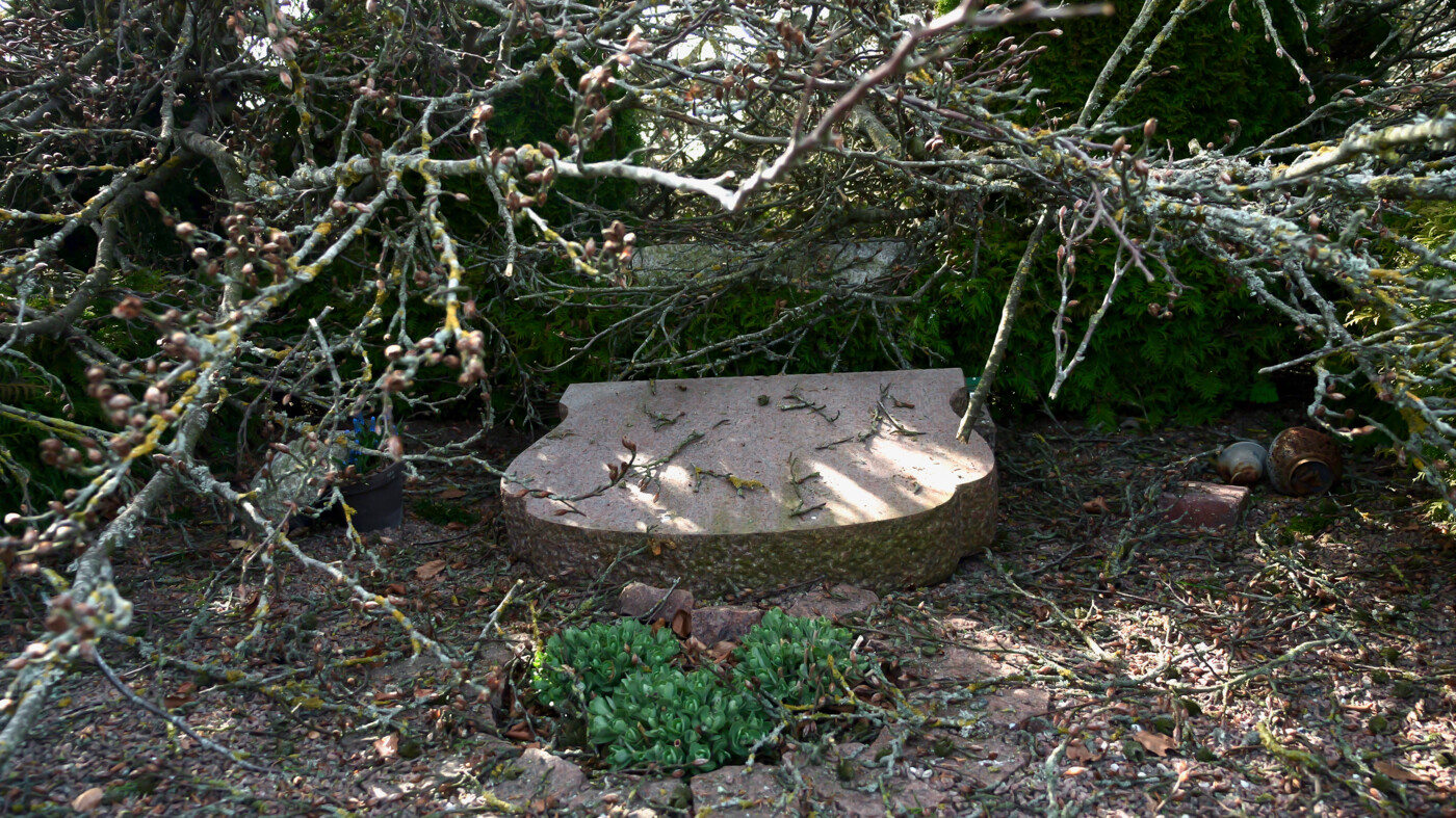 20260408 Sjørslev - 7.jpeg