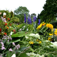 20220905 Vestre Kirkegård i Herning - blomster
